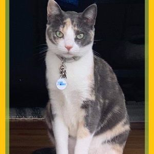 Meet your Posher, Trinh